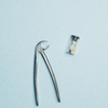 Dental Touch and Orthodontics
